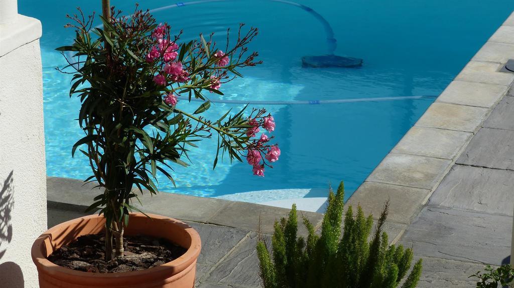 קייפטאון Southern Comfort Guest House מראה חיצוני תמונה